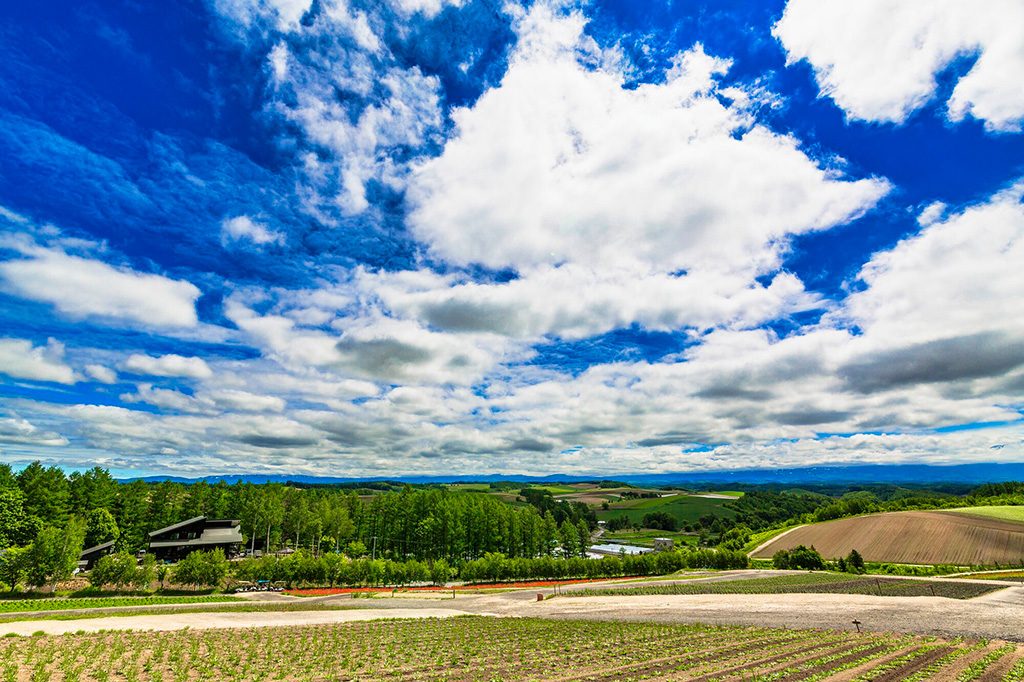 北海道 子連れ家族旅行のおすすめホテル 6月の人気ランキングtop10 るるぶkids