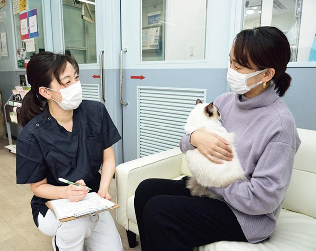 問診の様子/獣医のお仕事