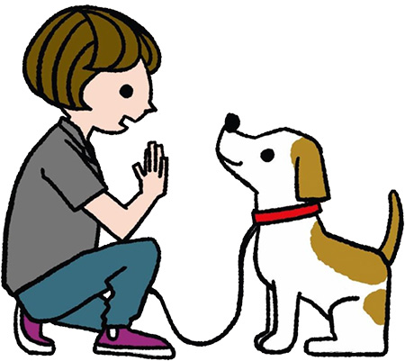 飼い犬をしつける専門家 ドッグトレーナー