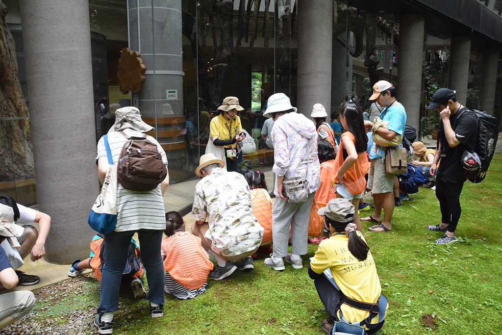 ネイチャーガイドの様子/ミュージアムパーク茨城県自然博物館(坂東市)
