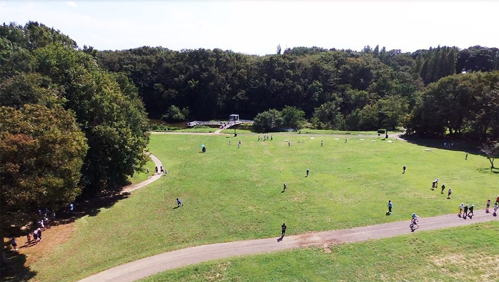 芝生広場/ミュージアムパーク茨城県自然博物館(坂東市)
