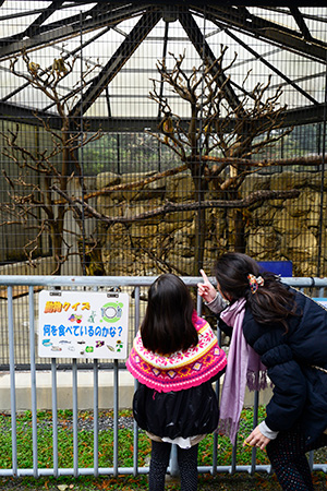 コモンリスザルの展示/江戸川区自然動物園(東京都)