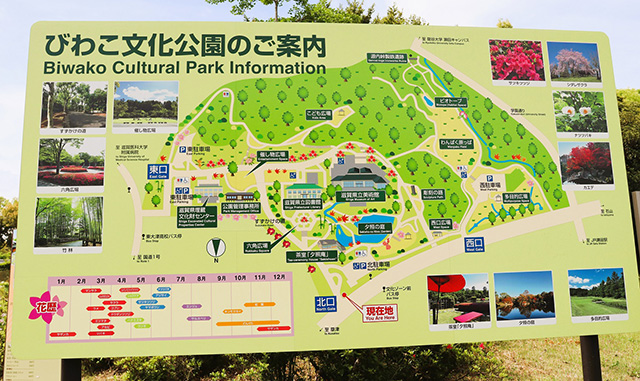 マップ/滋賀県立美術館(大津市)