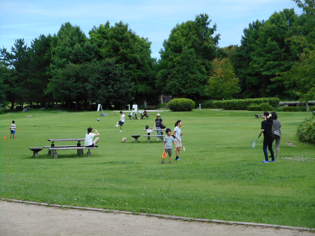 芝生の上を駆け回るのは気持ちが良い/新潟県スポーツ公園 ながたの森