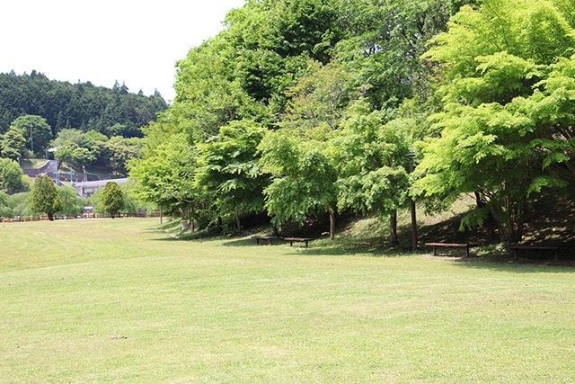 原っぱ広場/平成榛原子供のもり公園(奈良県/宇陀市)