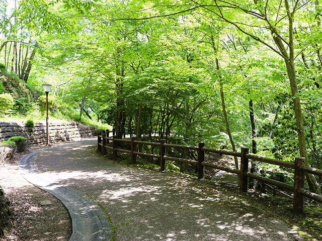 スロープのある敷地内/平成榛原子供のもり公園(奈良県/宇陀市)