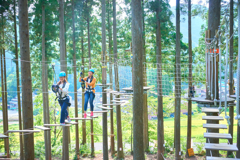 森を利用したダイナミックな空中アスレチック/ツリーピクニック アドベンチャー いけだ(福井県池田町)