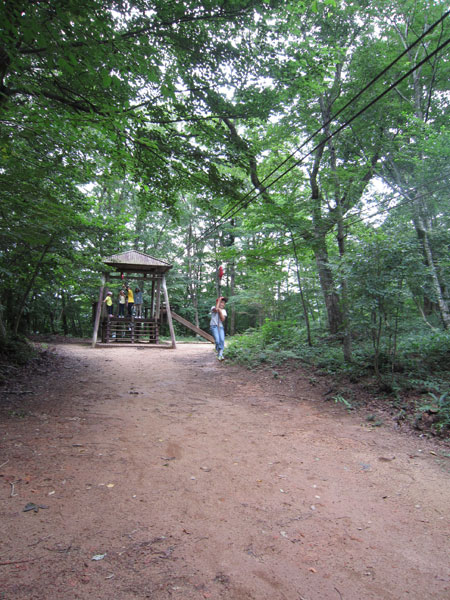 空中散歩/広島県立もみのき森林公園 わんぱくの森アスレチックコース(廿日市市)