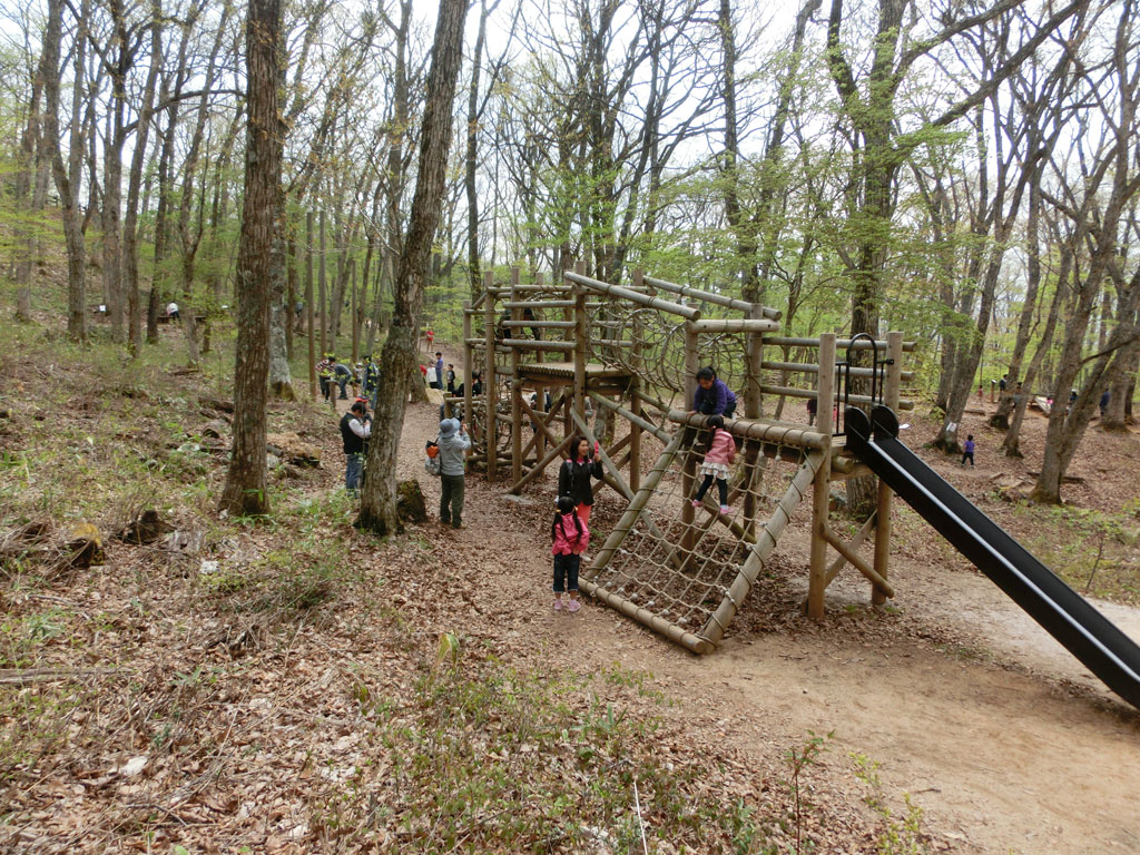 ジャングル探検/広島県立もみのき森林公園 わんぱくの森アスレチックコース(廿日市市)