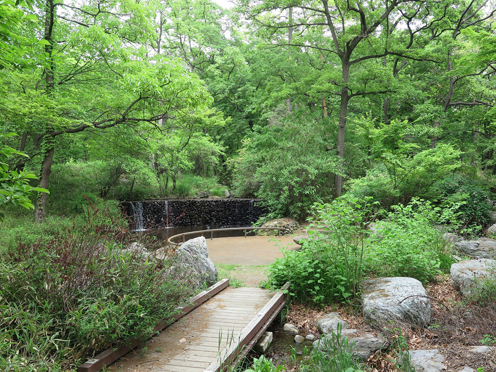 どんぐりの森の春/山梨県森林公園金川の森(笛吹市一宮町)