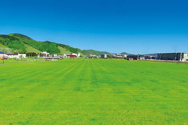 芝生広場/道の駅 るもい(北海道/留萌市)