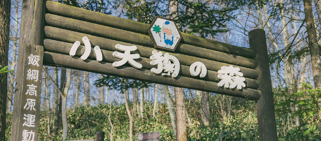 小天狗の森の入り口/ナガノフォレストビレッジ アスレチックフィールド(長野市)