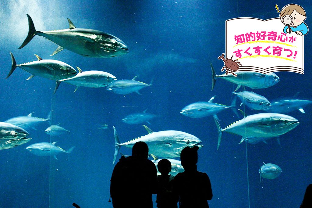 東京都葛西臨海水族園(江戸川区)