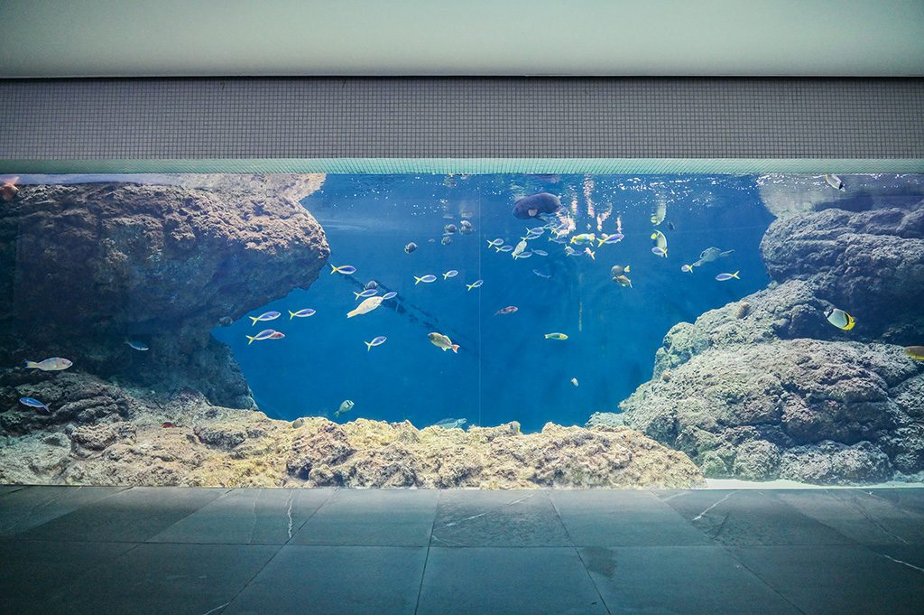 「東京の海」の水槽/東京都葛西臨海水族園(江戸川区)