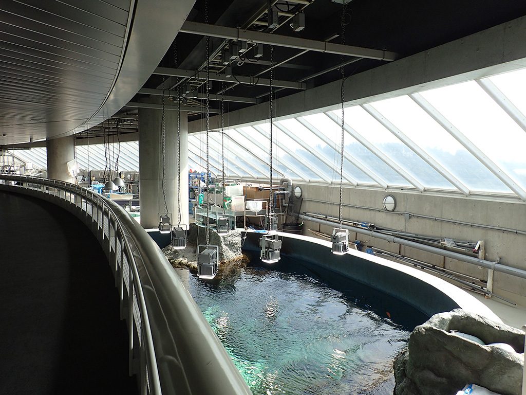 2階のキャットウォーク/東京都葛西臨海水族園(江戸川区)