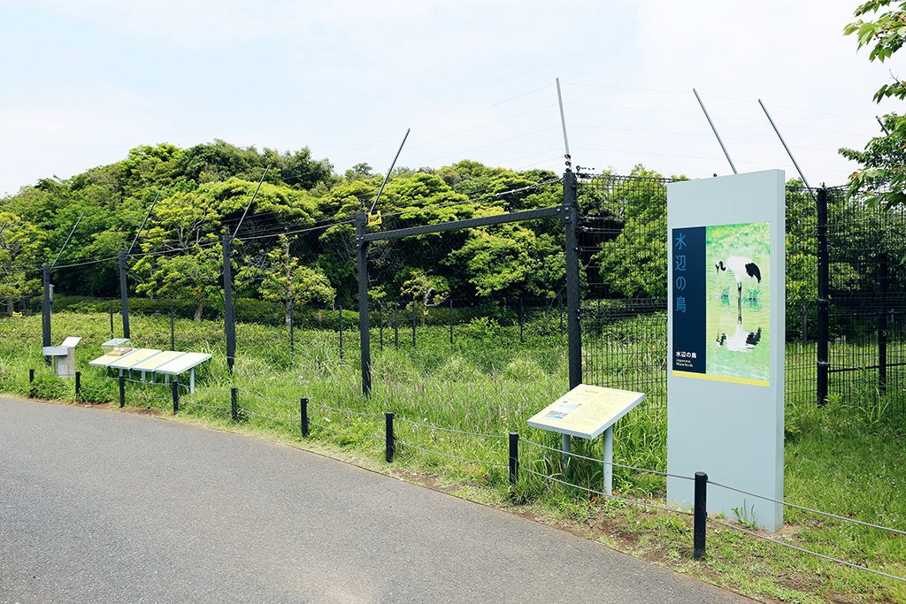 開放的な「水辺の自然」/東京都葛西臨海水族園(江戸川区)