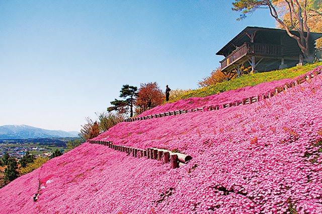 薬師山/道の駅 みそぎの郷 きこない(北海道/木古内町)