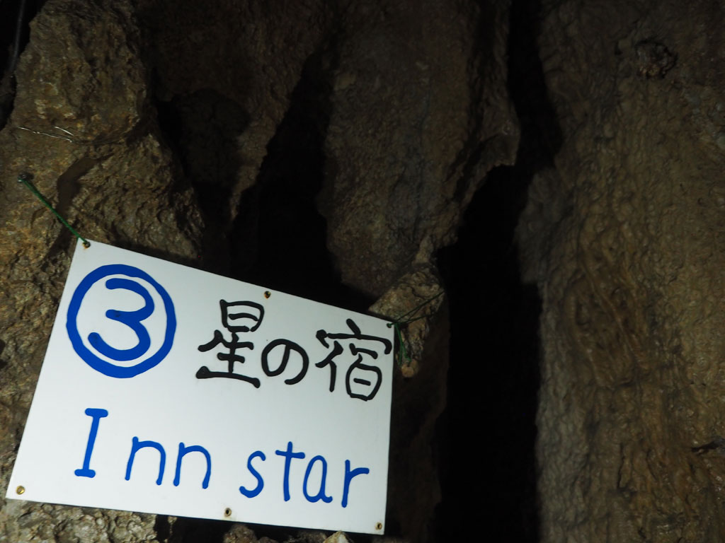 各ポイントに付けられたセンスあるネーミングにも注目/大岳鍾乳洞(東京都/あきる野市)