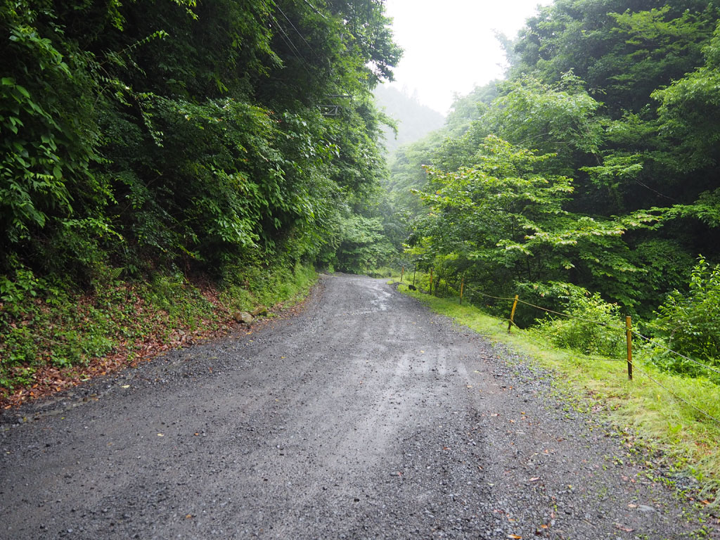途中から未舗装道路となるので注意/大岳鍾乳洞(東京都/あきる野市)