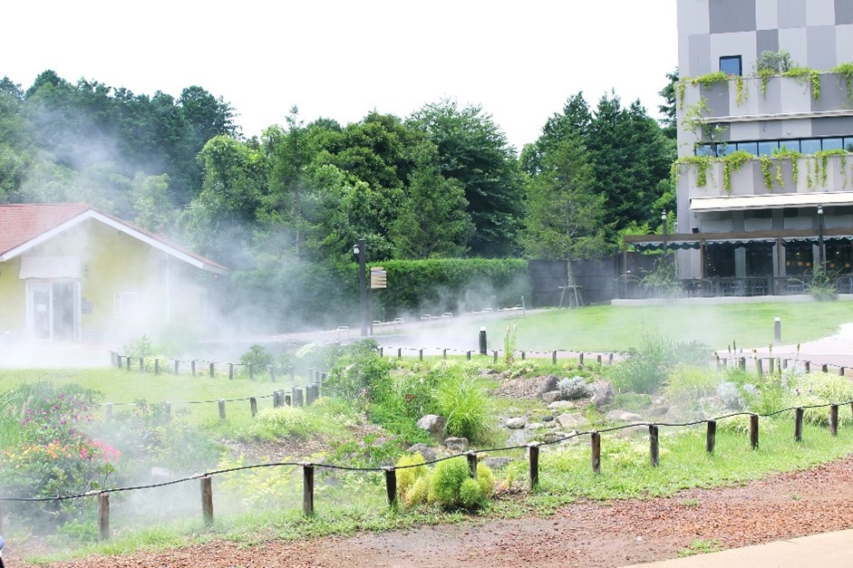 夏限定イベント「ムーミン谷の雲海」/ムーミンバレーパーク(埼玉県/飯能市)
