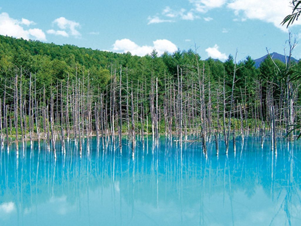 ご当地自慢の海鮮グルメや絶景に大満足!北海道の道の駅おすすめ8選