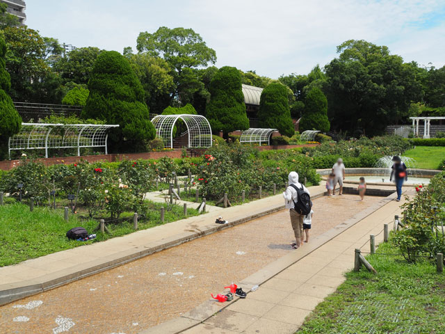 水深は足首ぐらい/総合レクリエーション公園(東京都/江戸川区)