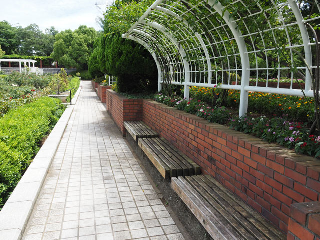 グリーンカーテンなどで木陰が作られたベンチもたくさん/総合レクリエーション公園(東京都/江戸川区)
