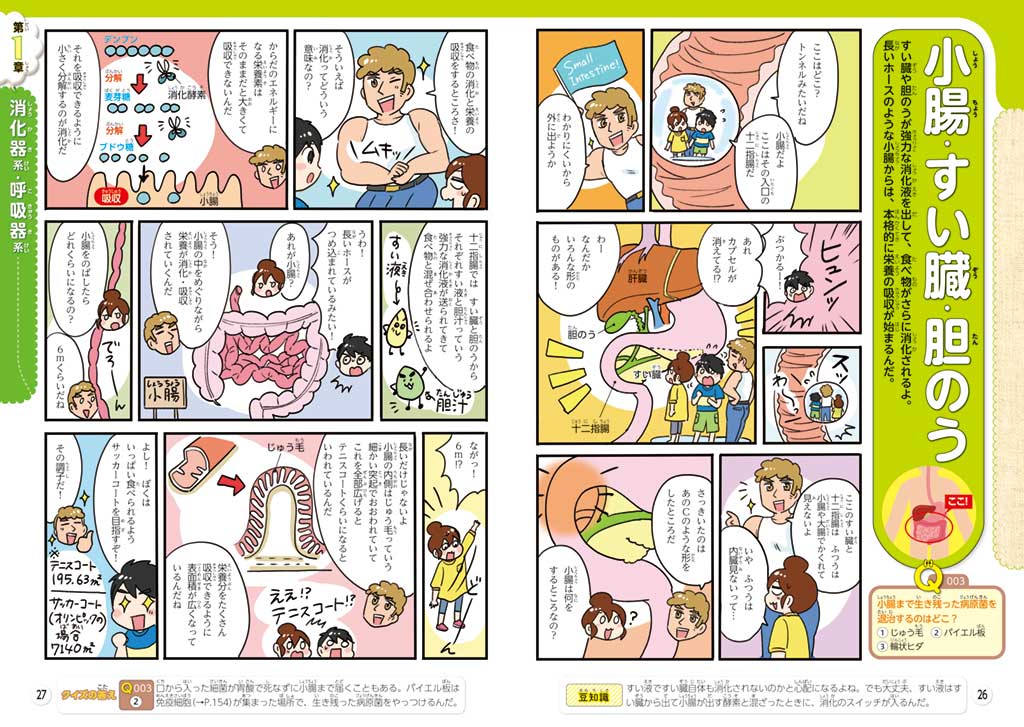 『るるぶマンガとクイズで楽しく学ぶ!人間のからだ』