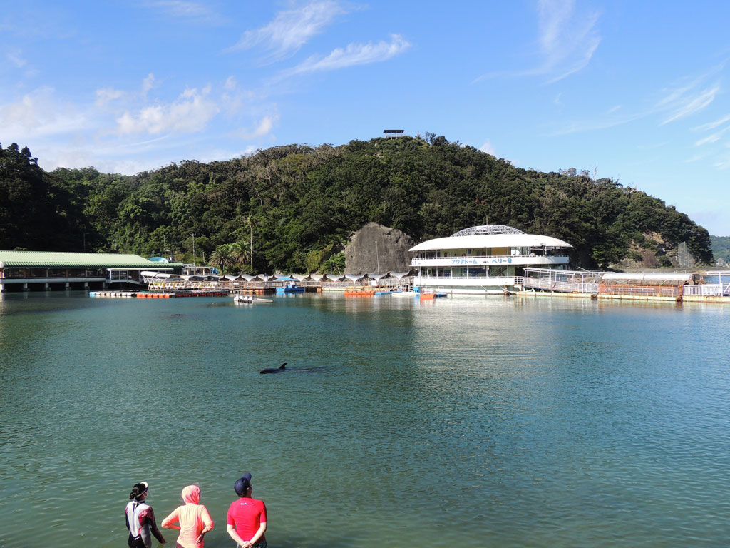 水族館のエリア内のドルフィンビーチの開放的な風景/下田海中水族館(静岡県/下田市)