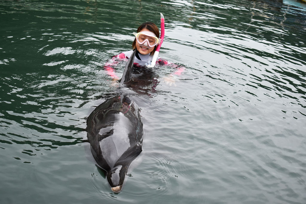 水に入っても、スタッフの方が丁寧にアテンドしてくれるので安心/下田海中水族館(静岡県/下田市)