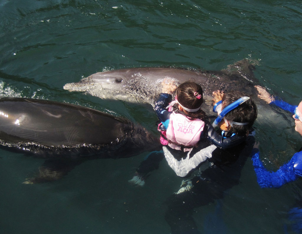 大人と一緒であれば小学校低学年も体験可能/下田海中水族館(静岡県/下田市)