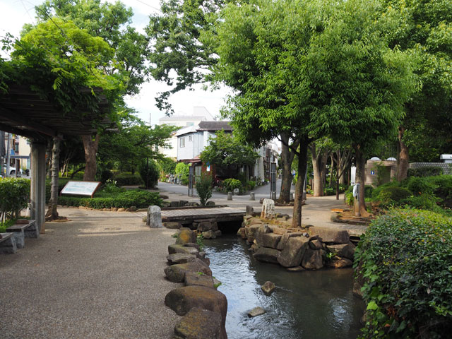 2つの流れが1つになる合流地点/小松川境川親水公園(東京都/江戸川区)