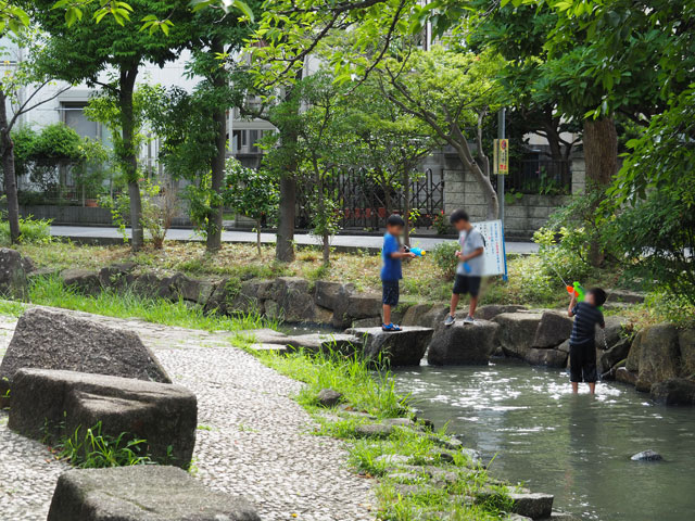 水てっぽうを持って行くのも楽しいですよ/小松川境川親水公園(東京都/江戸川区)