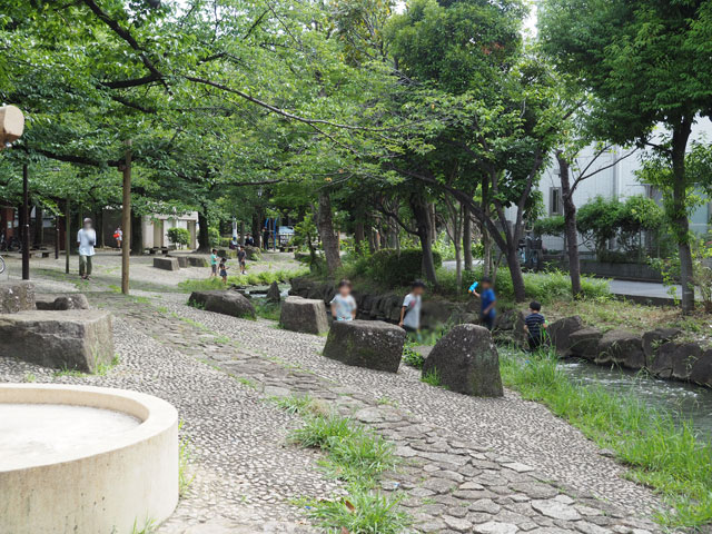 せせらぎ沿いに広がる緑に囲まれた公園は敷地も大きい/小松川境川親水公園(東京都/江戸川区)