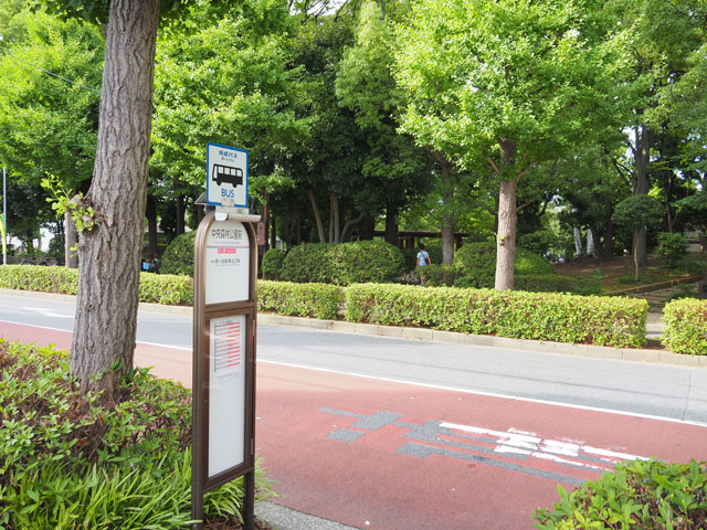 「中央森林公園」からさらに近い「中央森林公園前バス停」/小松川境川親水公園(東京都/江戸川区)