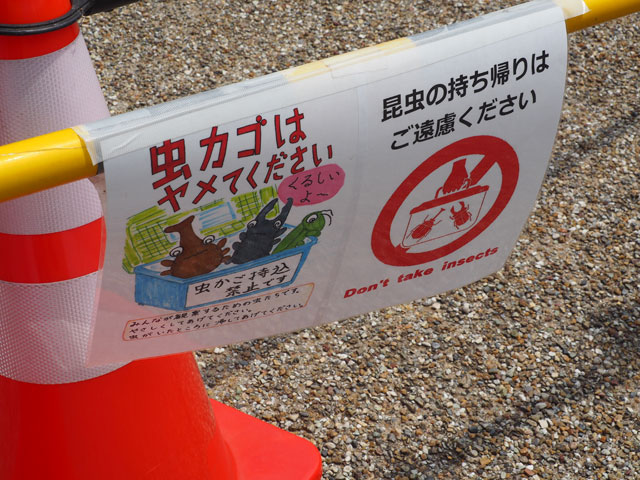 虫カゴの持ち込みも禁止されています/月夜野きのこ園ぐんま昆虫の森・新里(群馬県/桐生市)