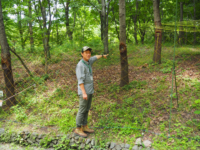 所要約1時間の「里山歩き」/月夜野きのこ園ぐんま昆虫の森・新里(群馬県/桐生市)