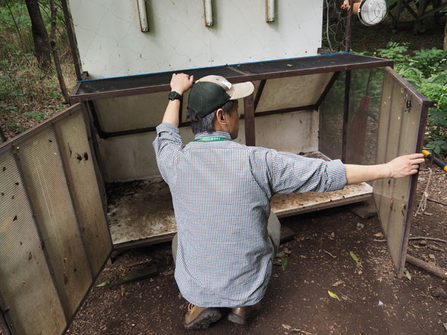 カゴを開けてくれると扉にくっついている!/月夜野きのこ園ぐんま昆虫の森・新里(群馬県/桐生市)