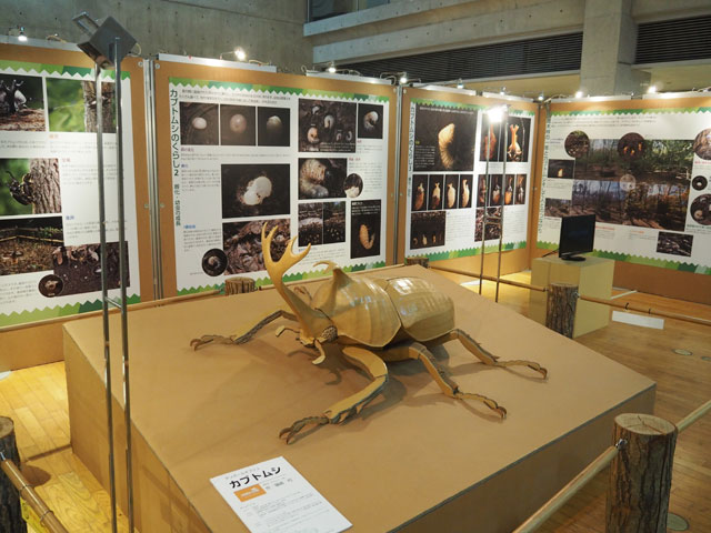 2022年夏は8月28日まで、カブト・クワガタ展も開かれています/月夜野きのこ園ぐんま昆虫の森・新里(群馬県/桐生市)