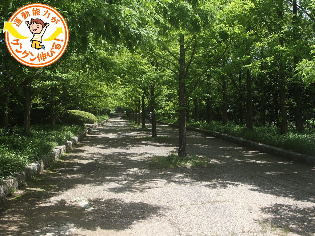 神戸市立森林植物園(兵庫県/神戸市