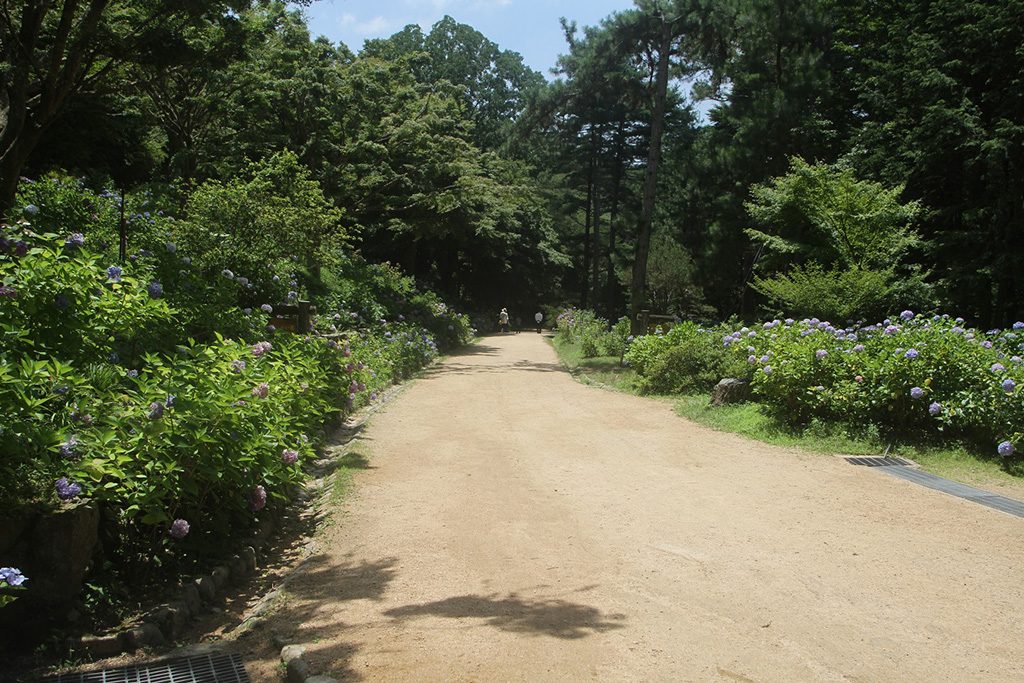神戸市立森林植物園(兵庫県/神戸市