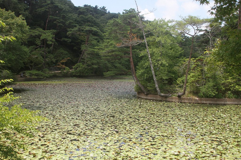 長谷池/神戸市立森林植物園(兵庫県/神戸市