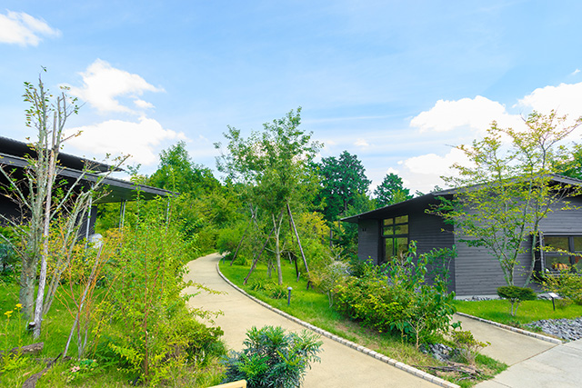 町田薬師池公園 四季彩の杜(東京都/町田市)