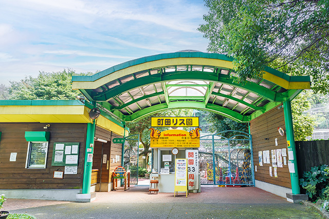 町田リス園(東京都/町田市)