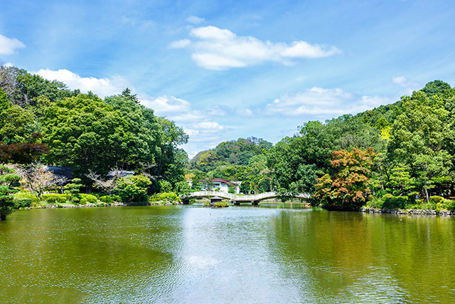 薬師池公園(東京都/町田市)