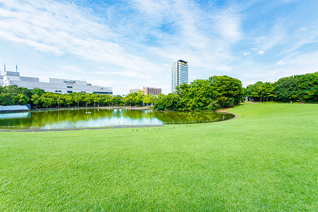 多摩中央公園(東京都/多摩市)
