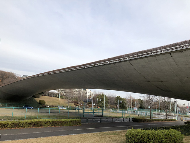 稲城中央公園(東京都/稲城市)