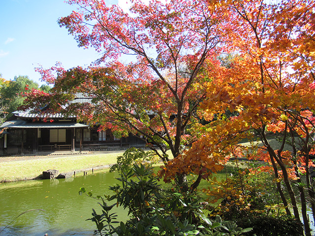 多摩中央公園の旧富澤家(東京都/多摩市)