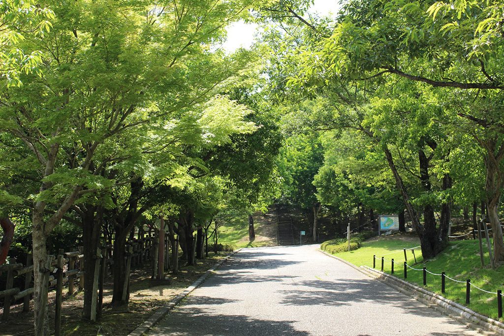 「丘のゾーン」の遊歩道/兵庫県立一庫公園(西市)
