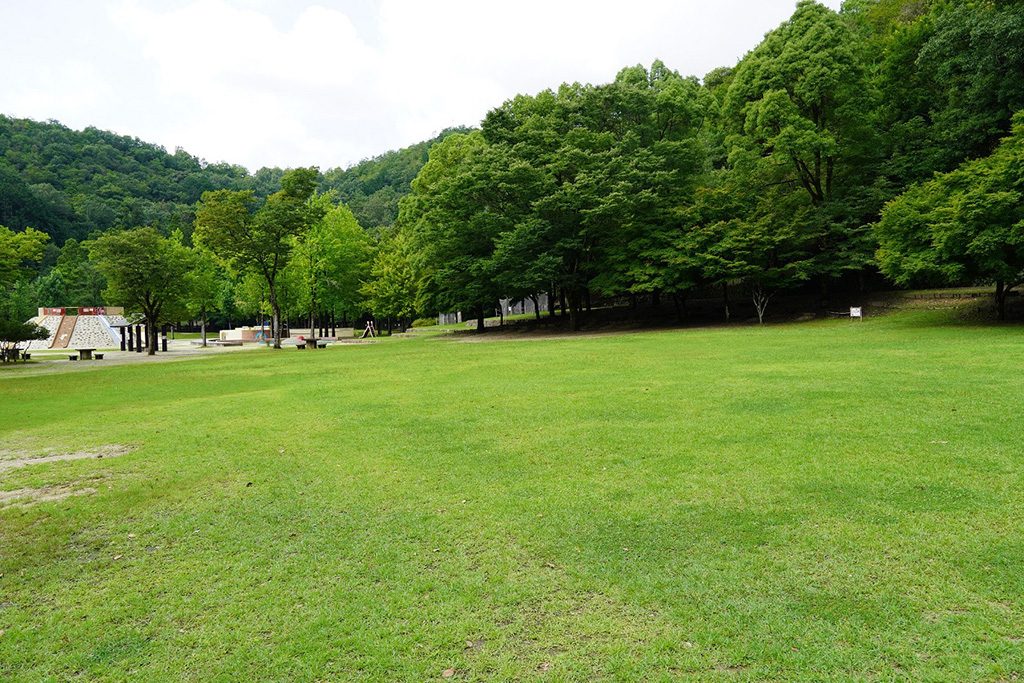 芝生広場/宝が池公園 子どもの楽園(京都府/京都市)